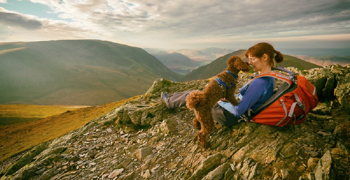 I cani possono avere il mal di montagna?