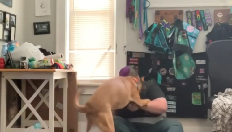 Un cane aiuta una donna con un attacco di panico