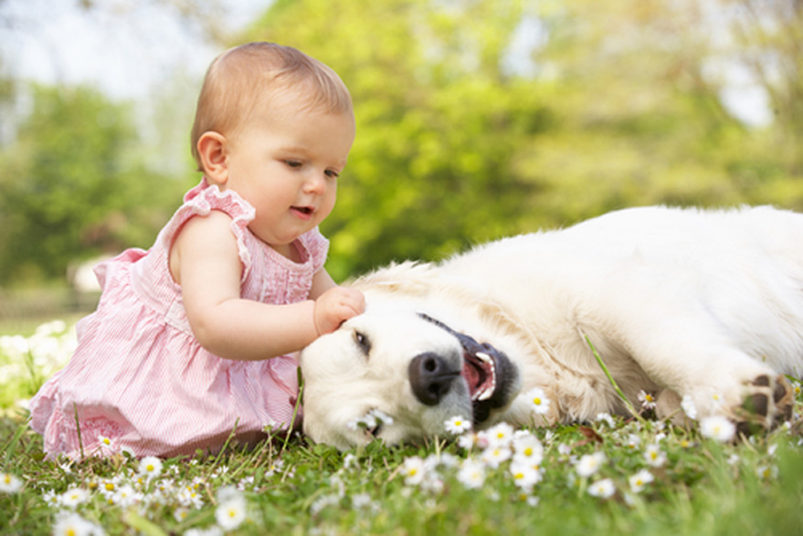 Un cane con una bambina