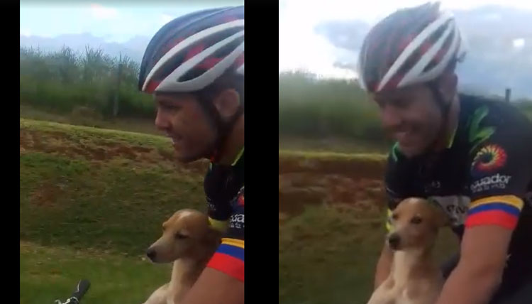 Un cane insieme ad un ciclista