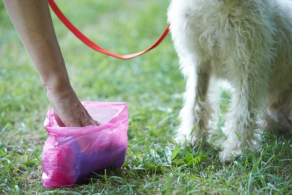 paletta e sacchetto per cani