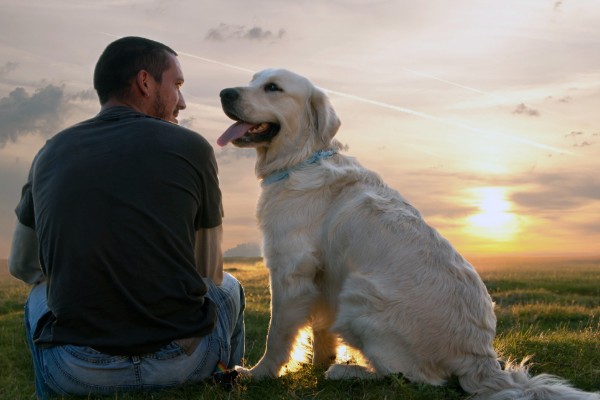 cane con il padrone