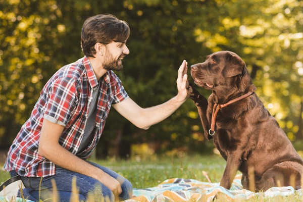 ragazzo e cane si danno il cinque