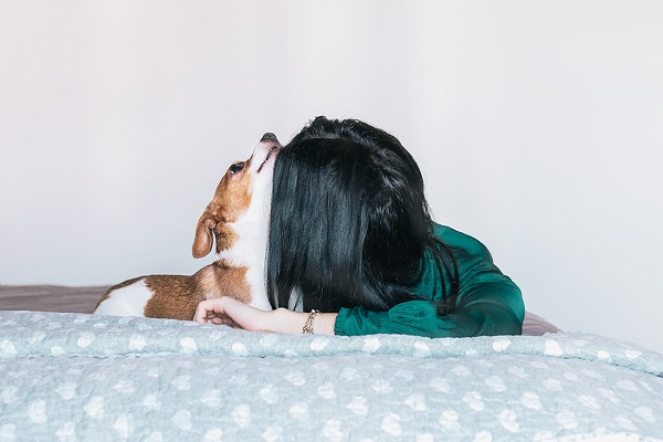 cane jack russel e padrona