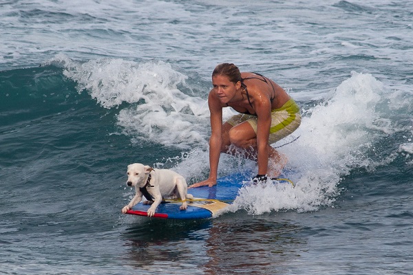 cane e ragazza su surf