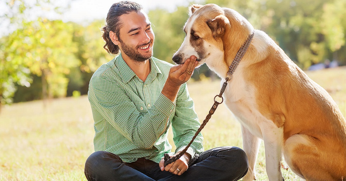 Perché il cane vuole essere nutrito a mano?