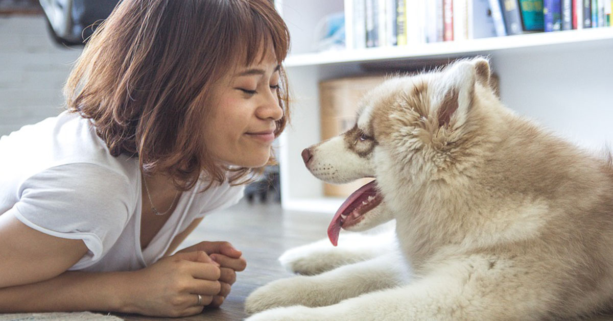 È vero che i cani capiscono il nostro umore?