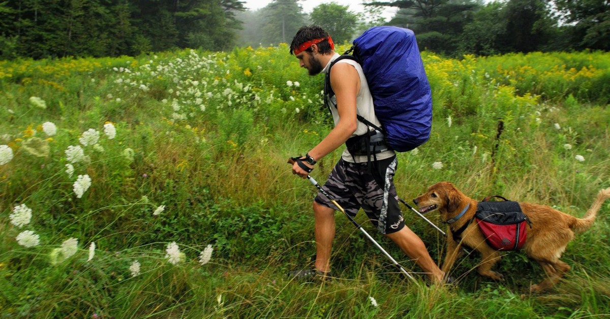 Vacanza con il cane in Molise: dove andare, cosa fare