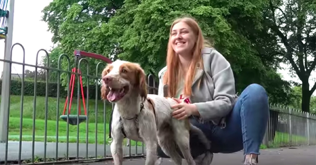 Cane rimane paralizzato ogni volta che si emoziona