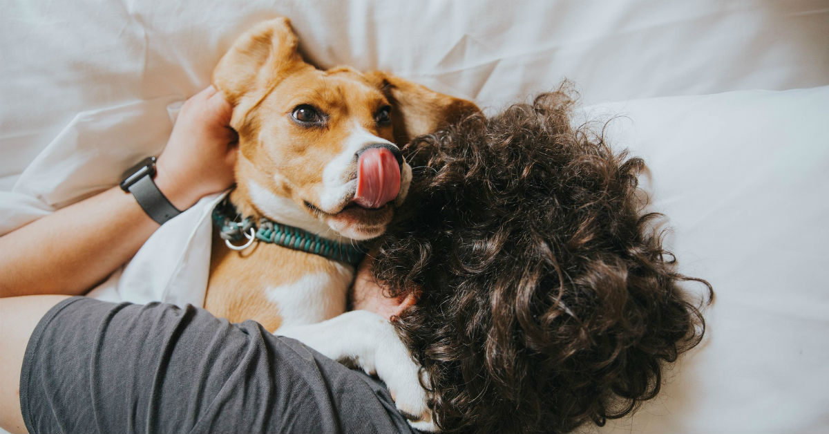 Cani coccolosi e teneri: 12 razze super affettuose