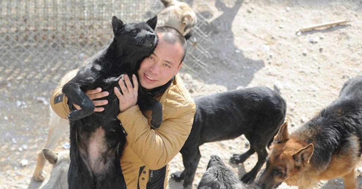 Cani destinati al macello in Cina vengono salvati da un milionario
