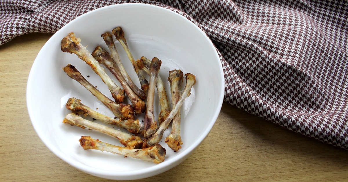 Cane e ossa di pollo: perché sono dannose e cosa rischia mangiandole