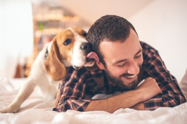 cane sul letto