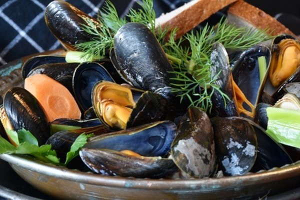 zuppa di cozze