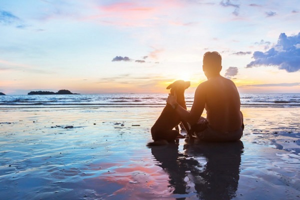 cane e ragazzo al mare al tramonto