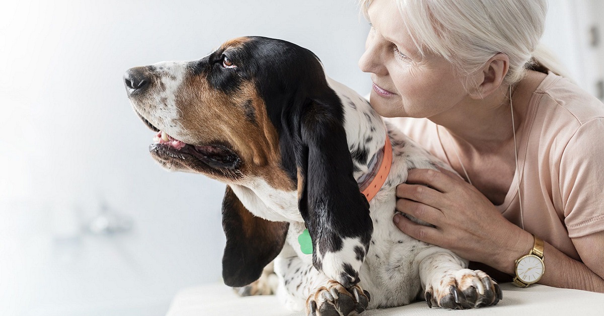 I cani vanno in menopausa? Ecco cosa bisogna sapere