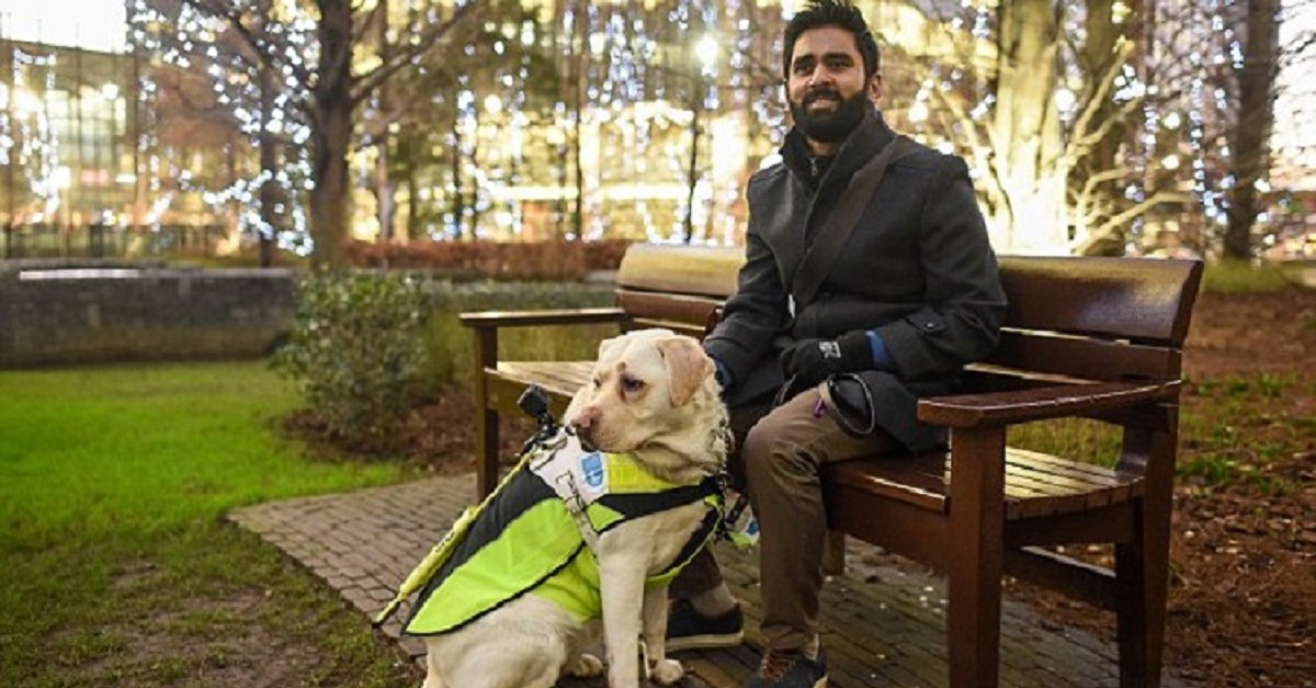 Il cane guida viene maltrattato, tutto viene registrato da una telecamera