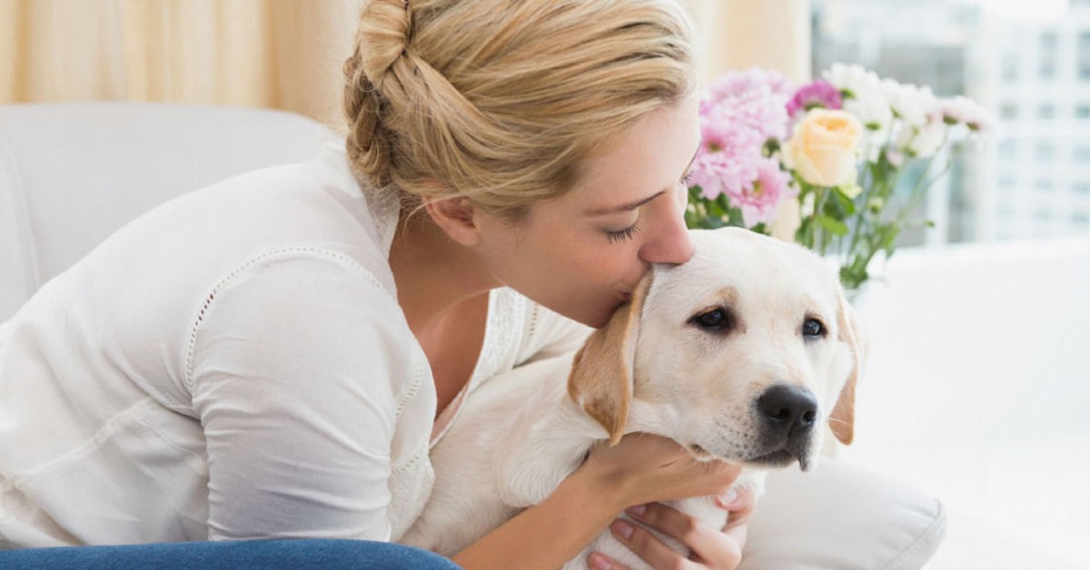 Perché il cane odia se gli soffi in faccia (e perché non devi farlo)