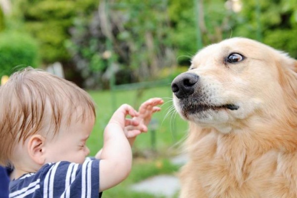 cane con bambino