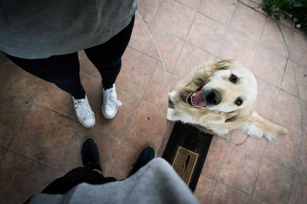 cane e padroni