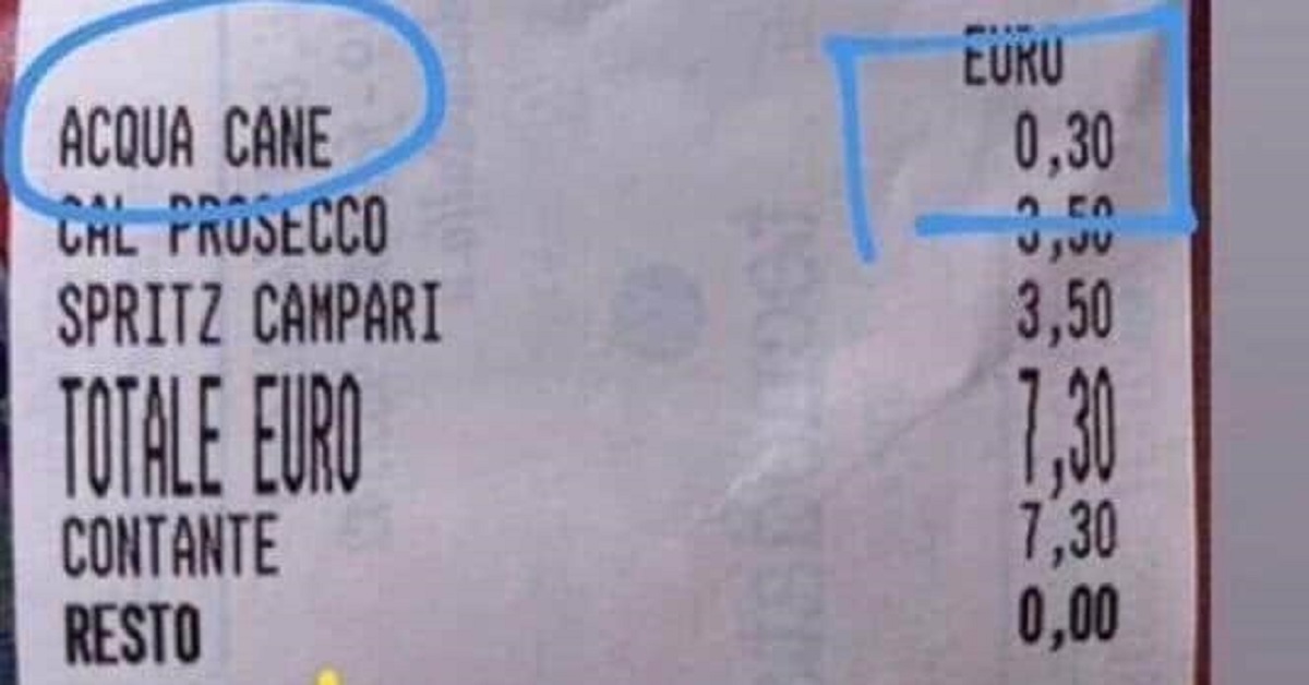 Jesolo, il cane ha sete? Il costo dell’acqua è di 30 centesimi