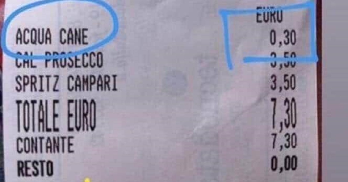 Jesolo, il cane ha sete? Il costo dell’acqua è di 30 centesimi