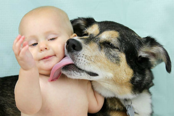cane che lecca bambino