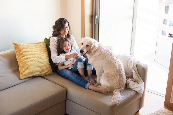 cane sul divano con famiglia umana
