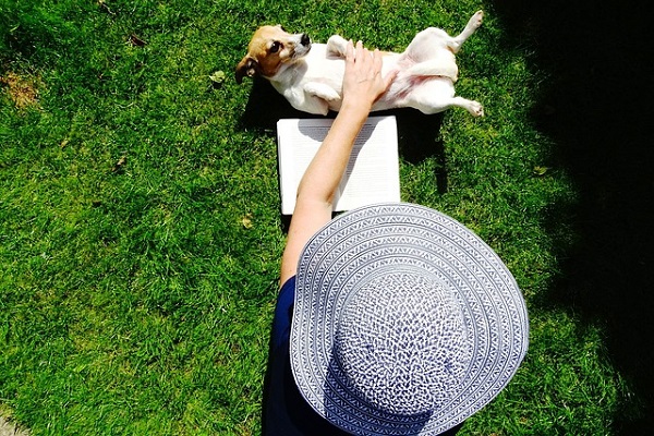 cane jack russel e le coccole