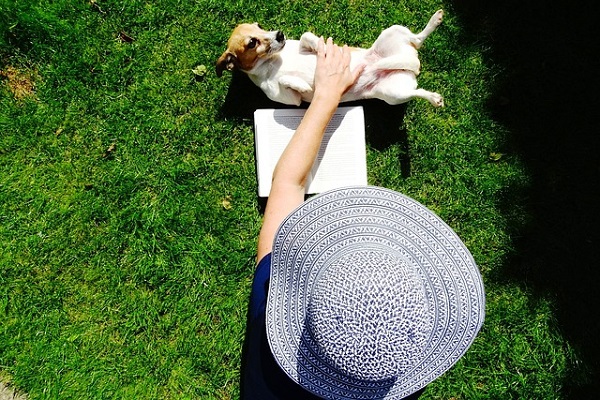 cane jack russel e le coccole