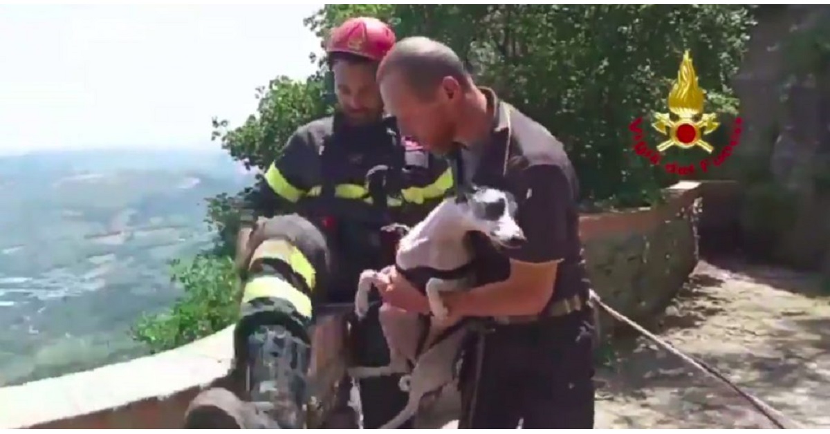San Marino, cane salvato dopo una caduta di 50 metri