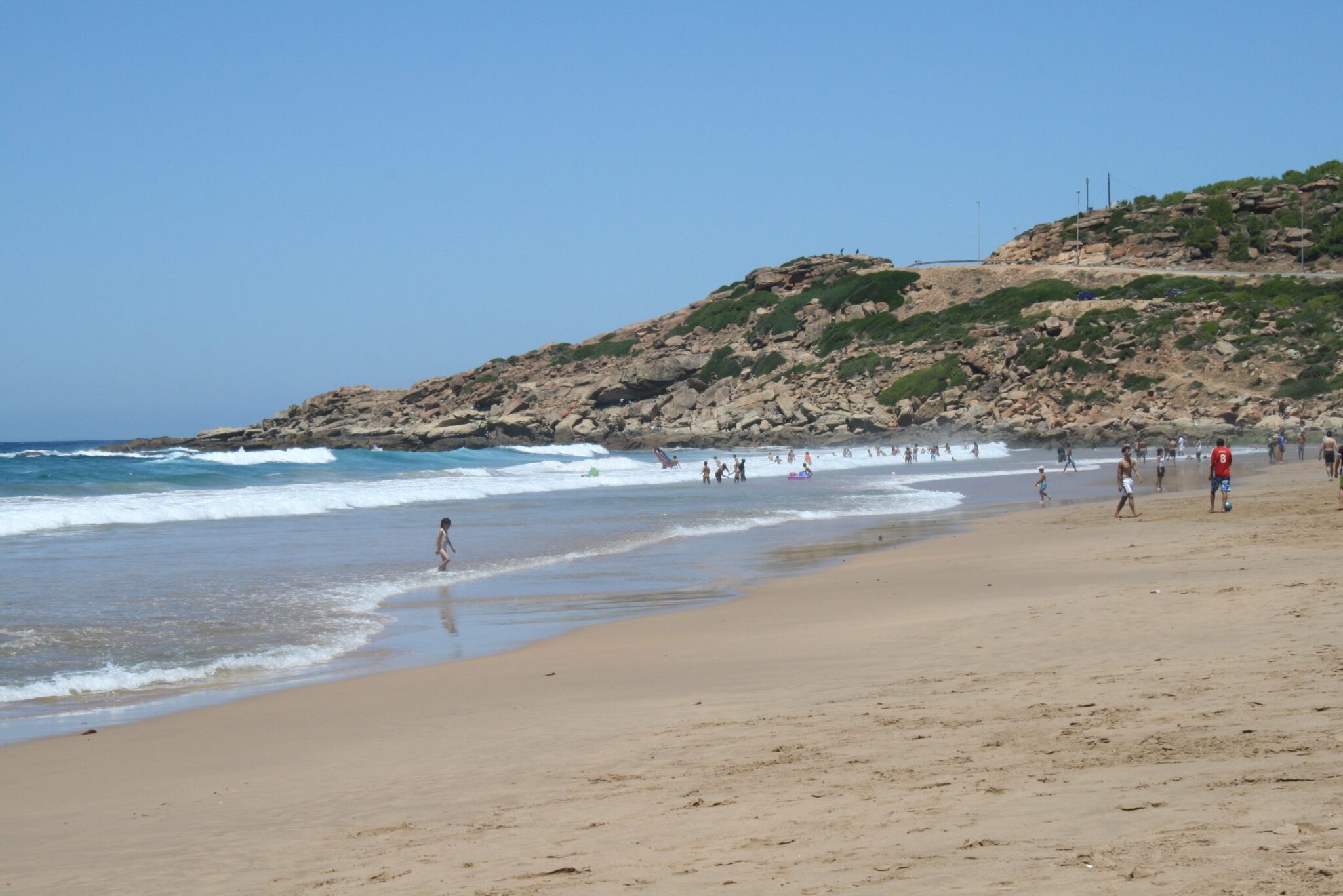 spiaggia-cani