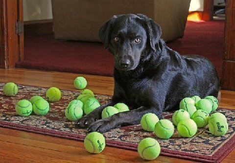 tank-palle-tennis