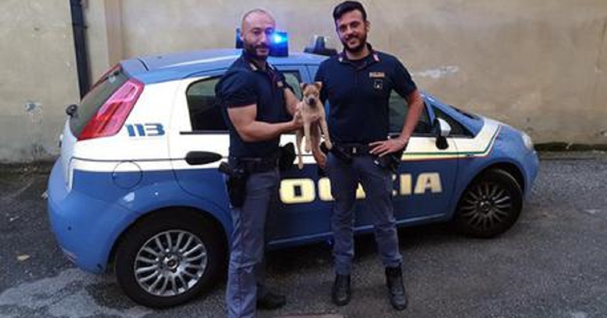 Torino, cucciolo salvato da due poliziotti in servizio