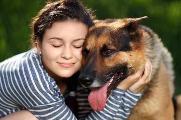 un cane coccolato