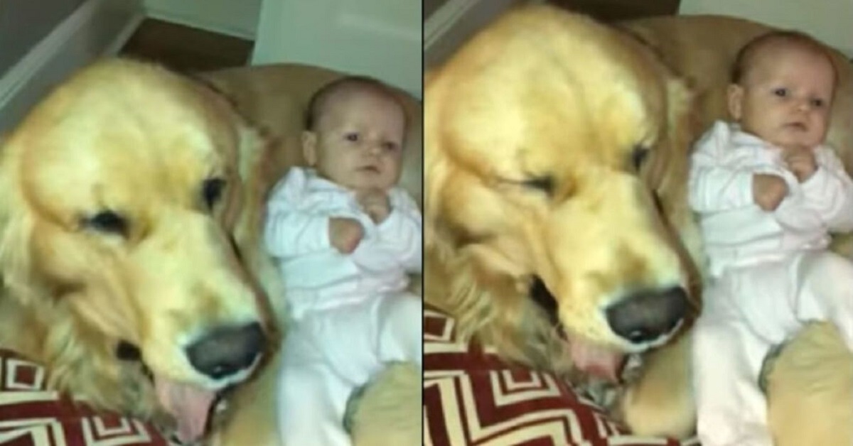 Un cane ed un bambino in video, il web impazzisce letteralmente