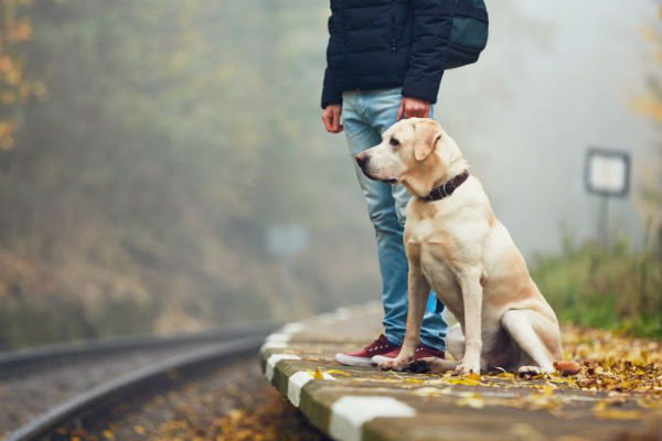 cane e padrone