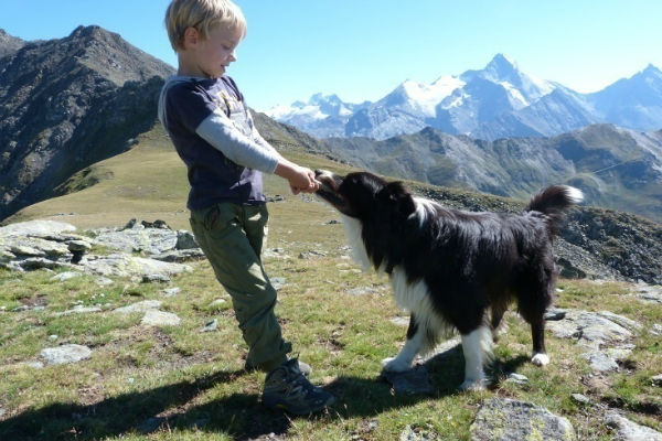 cane e bambino che giocano