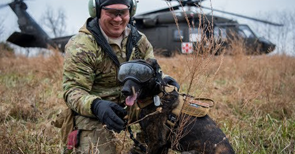 Callie, il cane paracadutista addestrato per salvare le persone