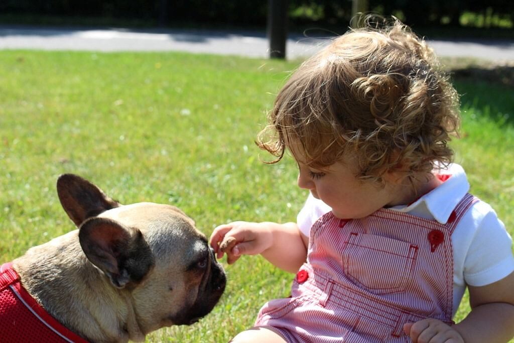 Cane Budu con bambino