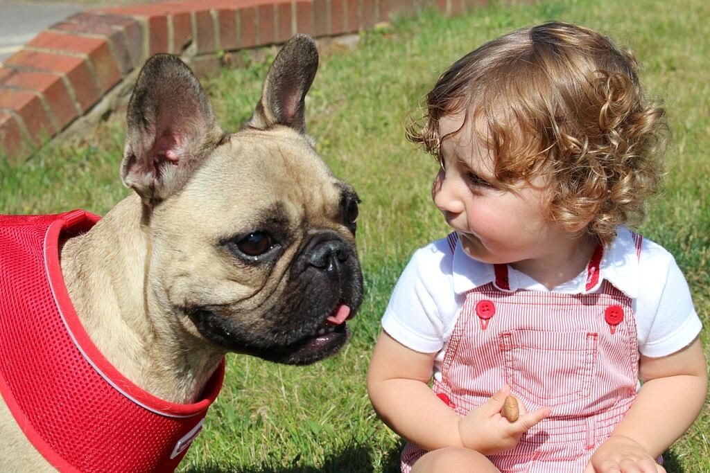 Cane con bambino