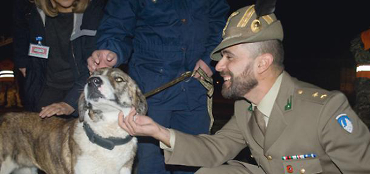 Cane con un militare