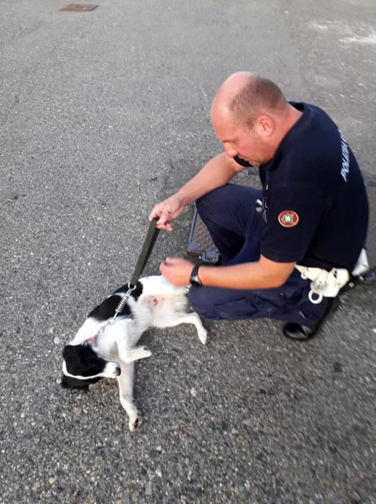 Cane con un poliziotto