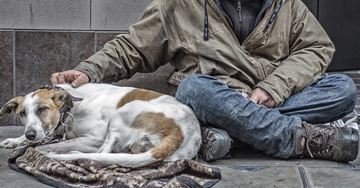 Como: cane rubato da un mendicante utilizzato per impietosire i passanti