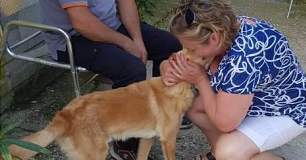 Fermo: il cane si perde per inseguire l’ambulanza che trasporta il suo proprietario