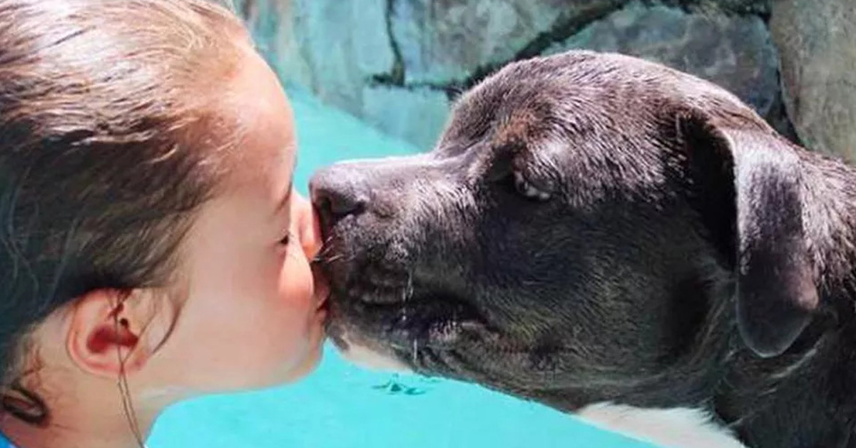 Lebowski: il cane che proprio non sa stare senza la sua padroncina
