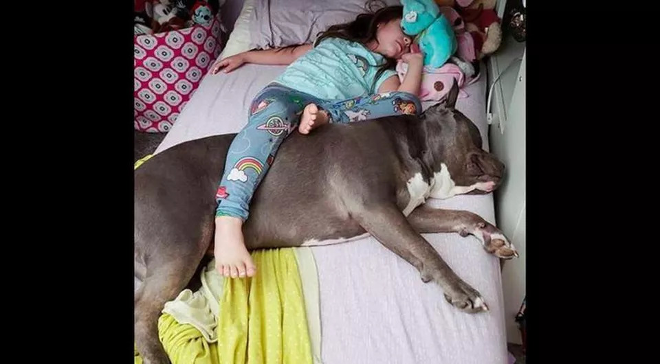 Cane e bambina che dormono insieme