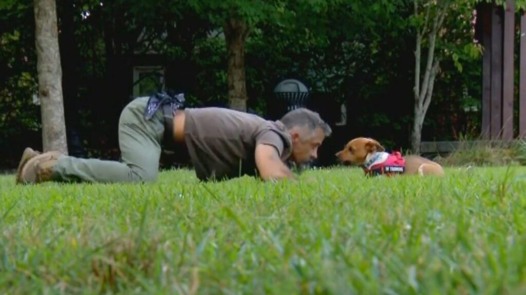 Cane e uomo sdraiati nel prato