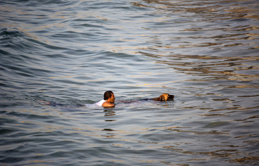 Cane in acqua che soccorre un uomo