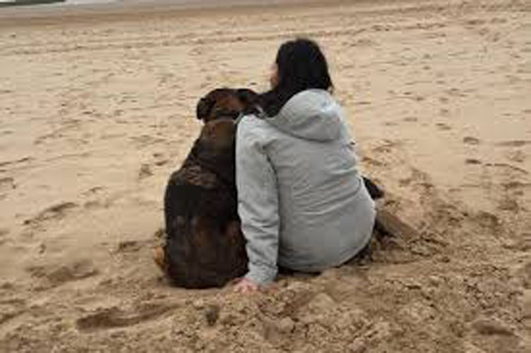 Cane in spiaggia con una ragazza